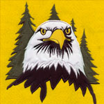 Embroidery Digitizing